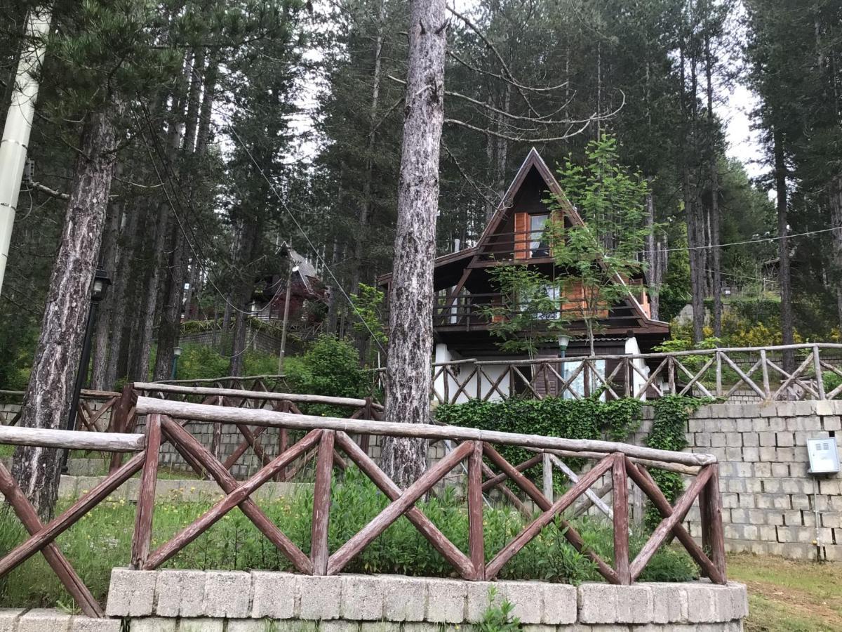 Chalet Natura Sport&Relax Cavaliere  Luaran gambar